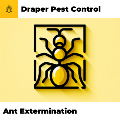 Ant Extermination