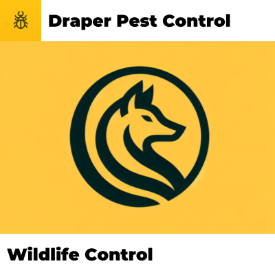 Wildlife Control